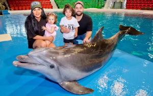 Dubai Dolphinarium tickets