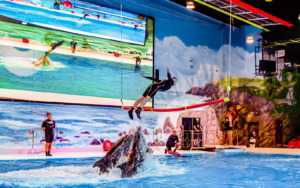 Dubai Dolphinarium tickets