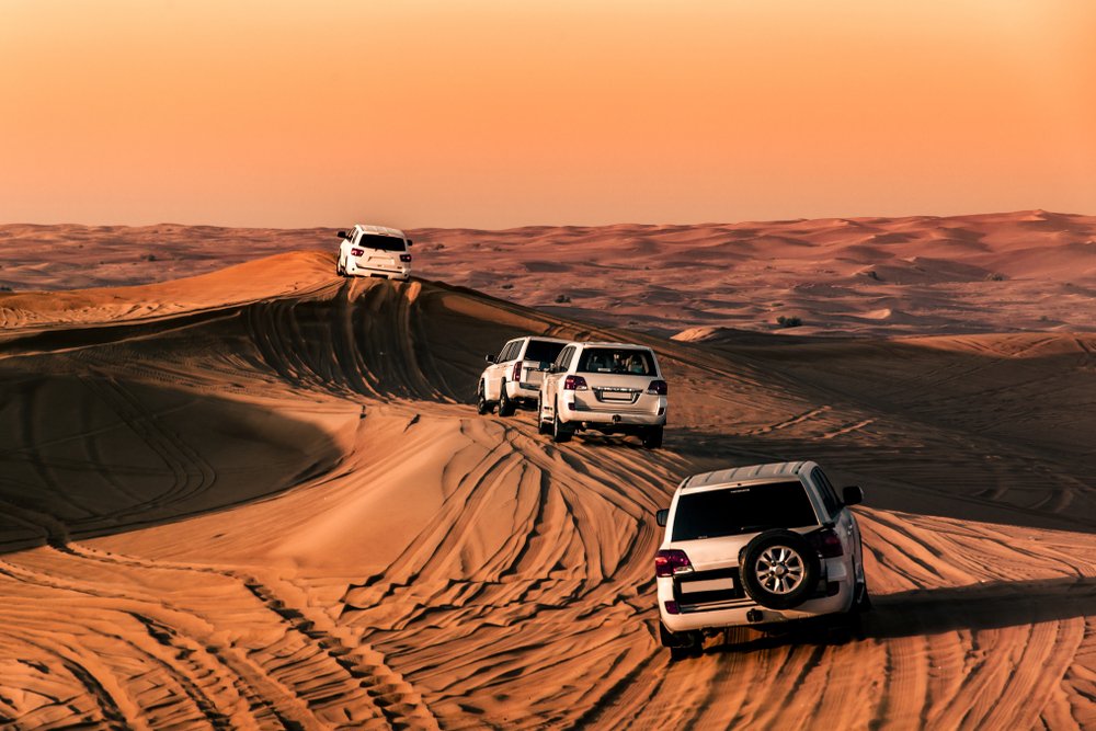Dubai Professional Incentives
