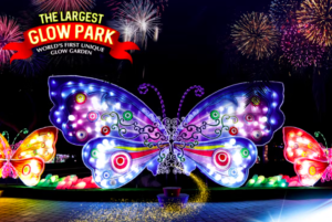 Dubai Garden Glow Tickets
