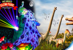 Dubai Garden Glow Tickets
