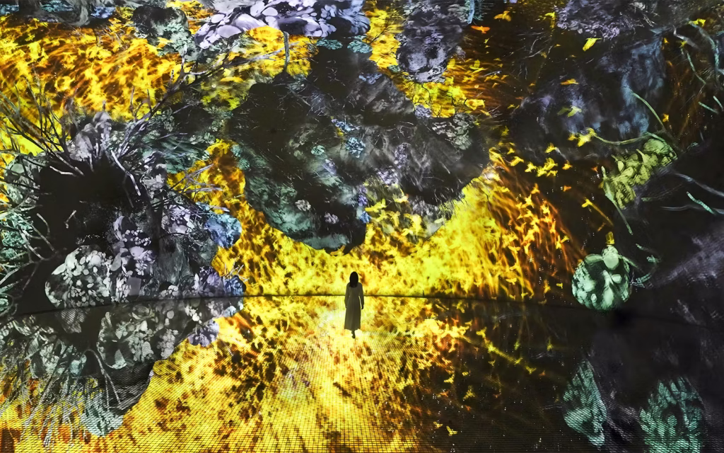 teamLab Phenomena Abu Dhabi Tickets