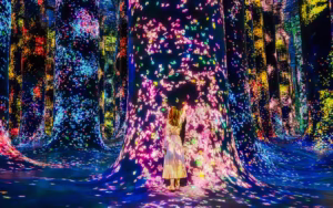 teamLab Phenomena Abu Dhabi Tickets teamLab Phenomena Abu Dhabi Tickets