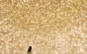 teamLab Phenomena Abu Dhabi Tickets teamLab Phenomena Abu Dhabi Tickets